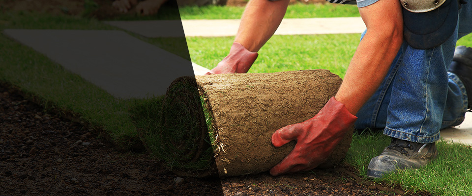 Dekalb Landscapers